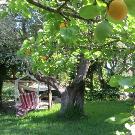 La Casa Piccola Villa *